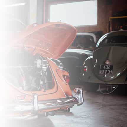 Cat_cox speedshop